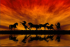 Horses 60x40 cm