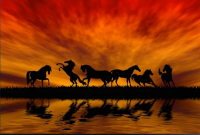 Horses 60x40 cm