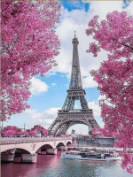 Eiffel Tower 40x50 cm