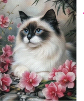 Wonderful Burmese cat 30x40 cm