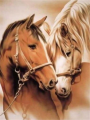 Two Horses 30x40 cm