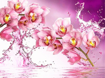 Beautiful pink flowers 30x40 cm