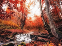 Autumn Landscape 30x40 cm