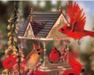 Red bird 30x40 cm