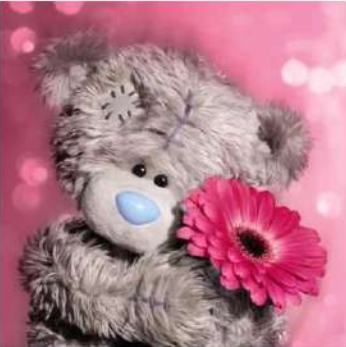 Teddy bear 30x30 cm