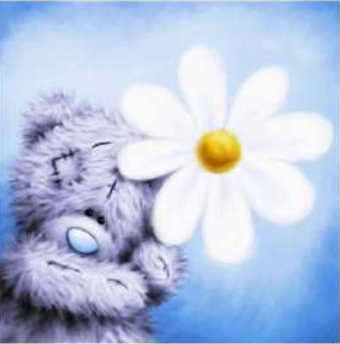Teddy bear 30x30 cm