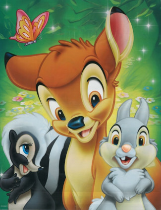 Cute Animals 30x40 cm