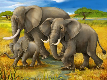 Elephant Family 1 30x40 cm