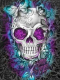 Skull 30x40 cm