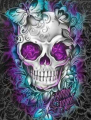 Skull 30x40 cm