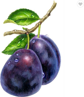 Plums 30x40 cm