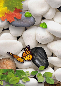 Butterfly on Stones 30x40 cm