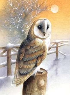Owl on a wooden pole 30x40 cm