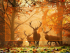 Moose in the Wild 40x30 cm