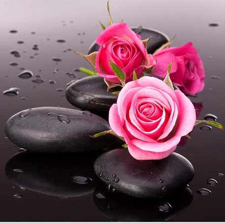 Roses on stones 30x30 cm