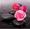 Roses on stones 30x30 cm