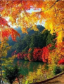 Rudens 30x40 cm
