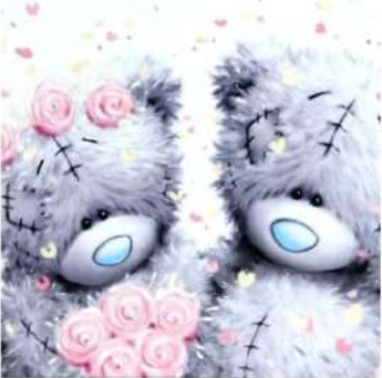 Teddy bear 30x30 cm