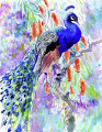 Paabulind 30x40 cm