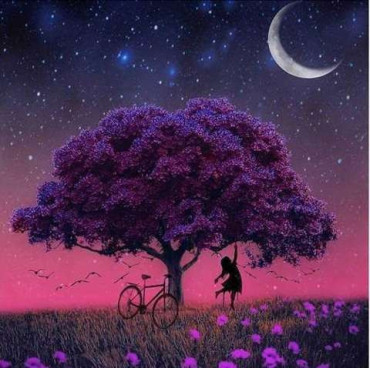 Tree in the evening background 30x30