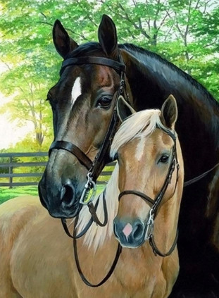 Two Horses 30x40 cm