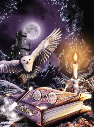 Owl in the Dark 30x40 cm