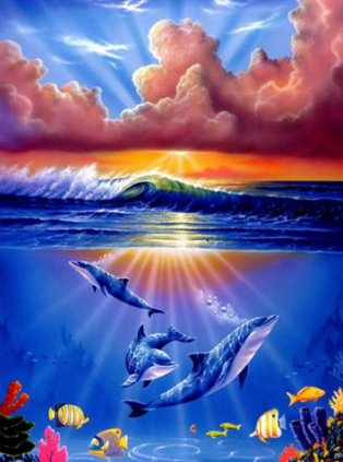 Dolphins and fish 30x40 cm