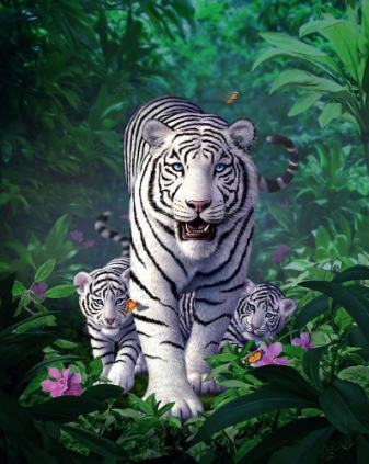 Tigrų šeima 40x50 cm