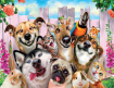 Funny animals 40x30 cm