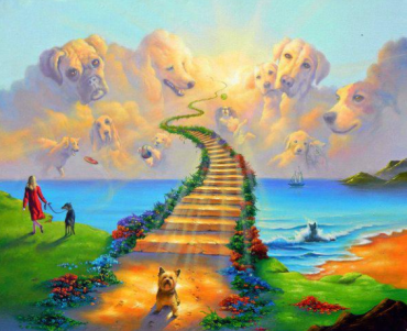 Šunų pasaulis 55x42 cm