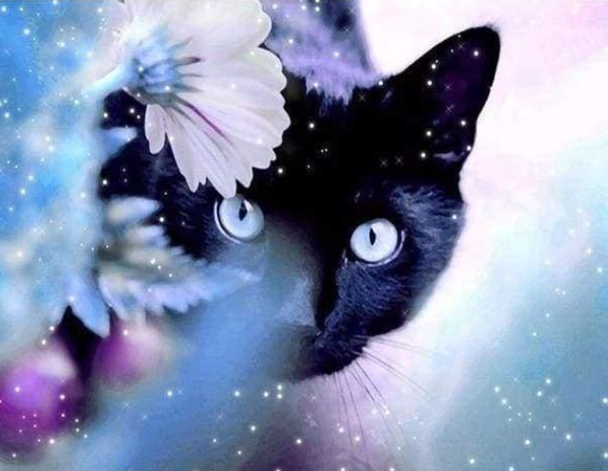 Cat with a flower 47x32 cm