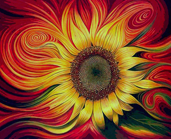 Colorful sunflower 35x45 cm