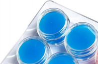 Round blue wax for mounting diamonds