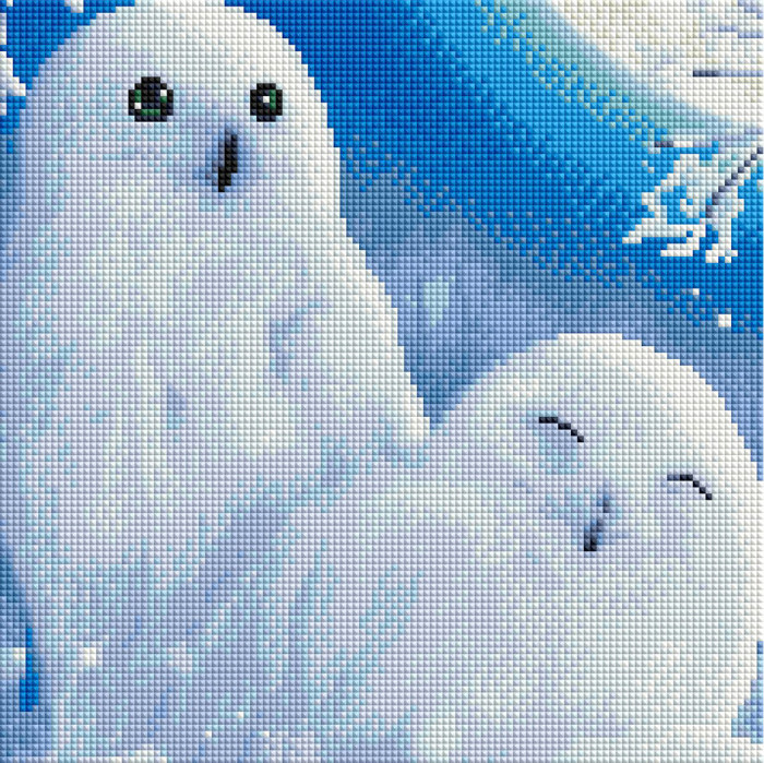 Owls - framed 30x30 cm