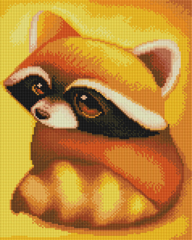 Raccoon - framed 30x40 cm