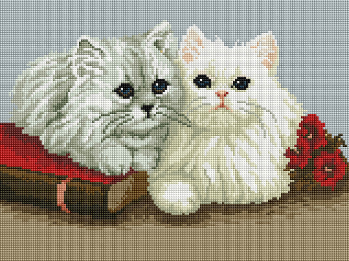 Cats - framed 30x40 cm