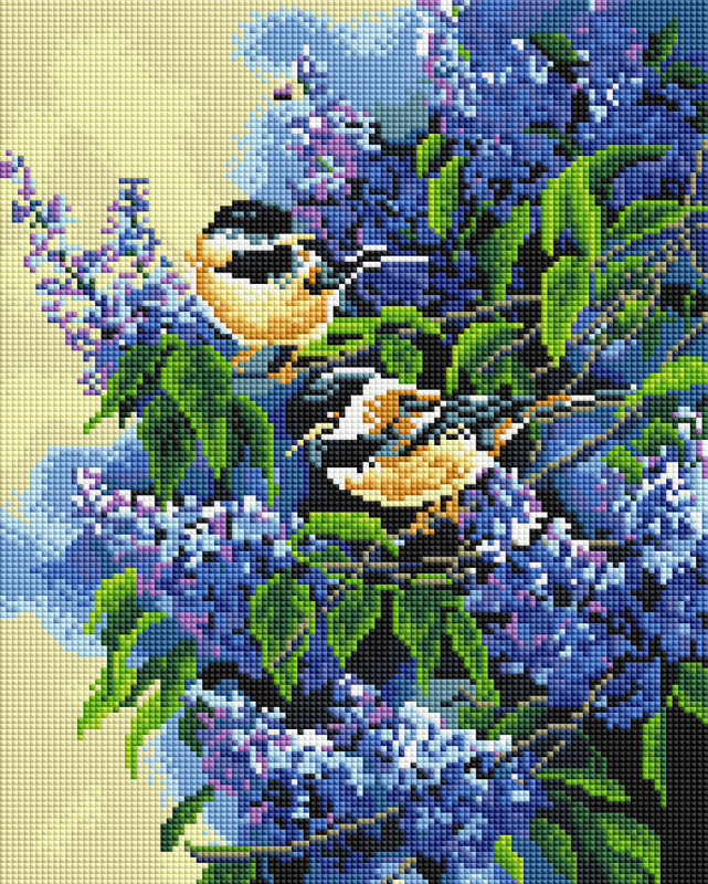 Tits - framed 30x40 cm