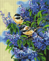 Tits - framed 30x40 cm
