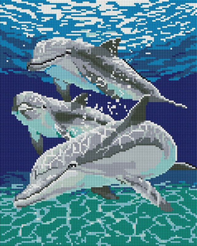 Dolphins - framed 30x40 cm