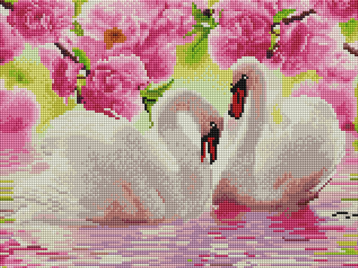 Swans - framed 30x40 cm