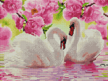 Gulbės - įrėmintos 30x40 cm