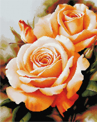 Rožės - įrėmintos 40x50 cm