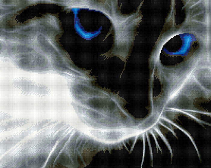 Cat - framed 40x50 cm