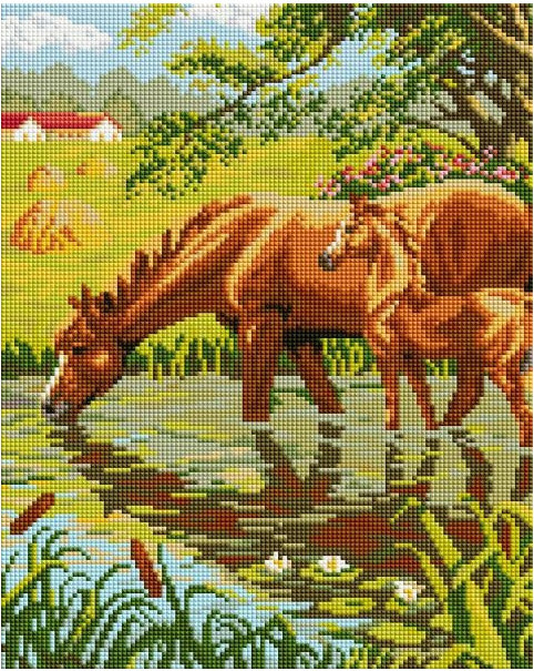 Horses - framed 30x40 cm