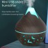 2-in-1 Air Humidifier and Aroma Diffuser