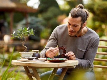 10281 LEGO Icons Bonsai kociņš