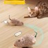 Cat Toy