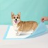 Pet Training Pads