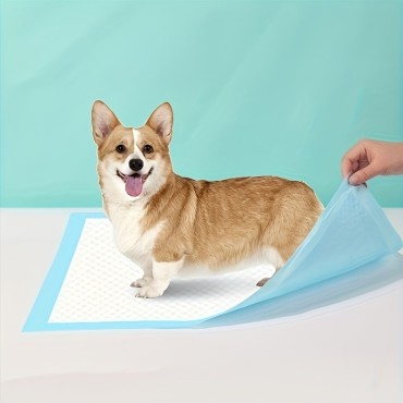 Pet Training Pads