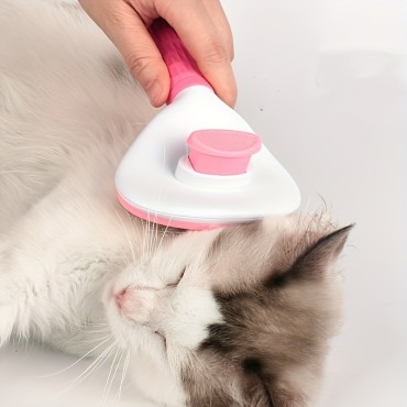 Pet Brush